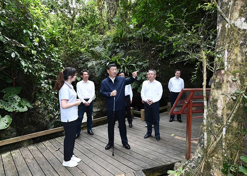 一见，绿水，青山.jpg